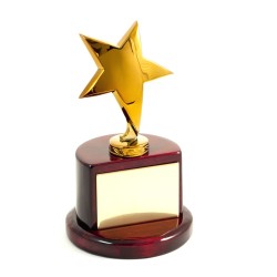 Awards & Trophies